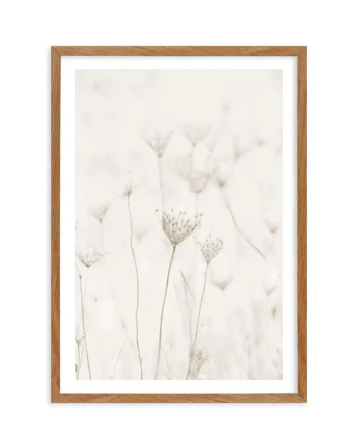 Among The Dandelions Art Print-PRINT-Olive et Oriel-Olive et Oriel-50x70 cm | 19.6" x 27.5"-Walnut-With White Border-Buy-Australian-Art-Prints-Online-with-Olive-et-Oriel-Your-Artwork-Specialists-Austrailia-Decorate-With-Coastal-Photo-Wall-Art-Prints-From-Our-Beach-House-Artwork-Collection-Fine-Poster-and-Framed-Artwork