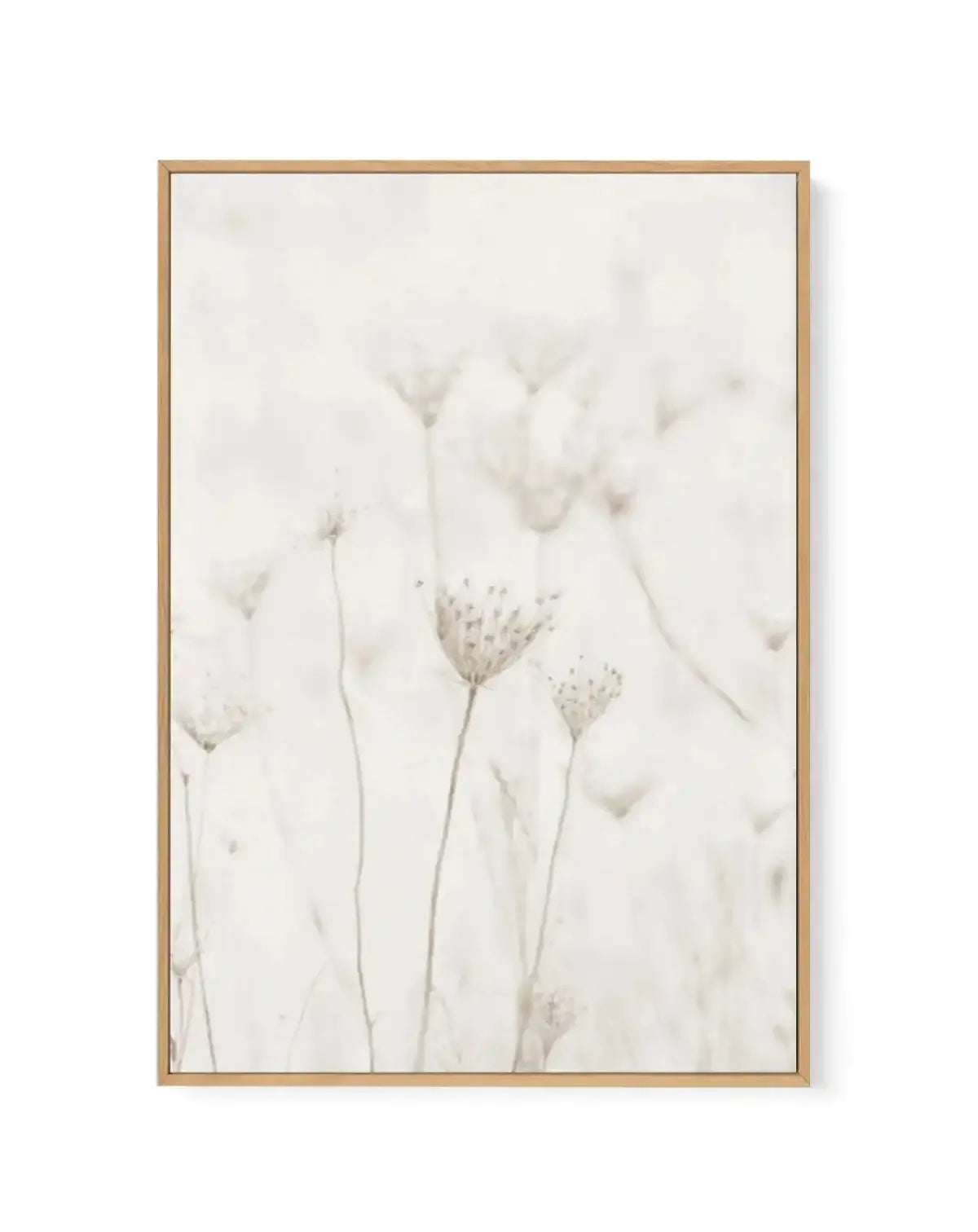 Among The Dandelions | Framed Canvas-CANVAS-You can shop wall art online with Olive et Oriel for everything from abstract art to fun kids wall art. Our beautiful modern art prints and canvas art are available from large canvas prints to wall art paintings and our proudly Australian artwork collection offers only the highest quality framed large wall art and canvas art Australia - You can buy fashion photography prints or Hampton print posters and paintings on canvas from Olive et Oriel and have 