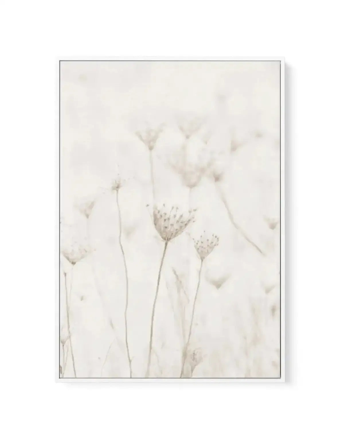 Among The Dandelions | Framed Canvas-CANVAS-You can shop wall art online with Olive et Oriel for everything from abstract art to fun kids wall art. Our beautiful modern art prints and canvas art are available from large canvas prints to wall art paintings and our proudly Australian artwork collection offers only the highest quality framed large wall art and canvas art Australia - You can buy fashion photography prints or Hampton print posters and paintings on canvas from Olive et Oriel and have 