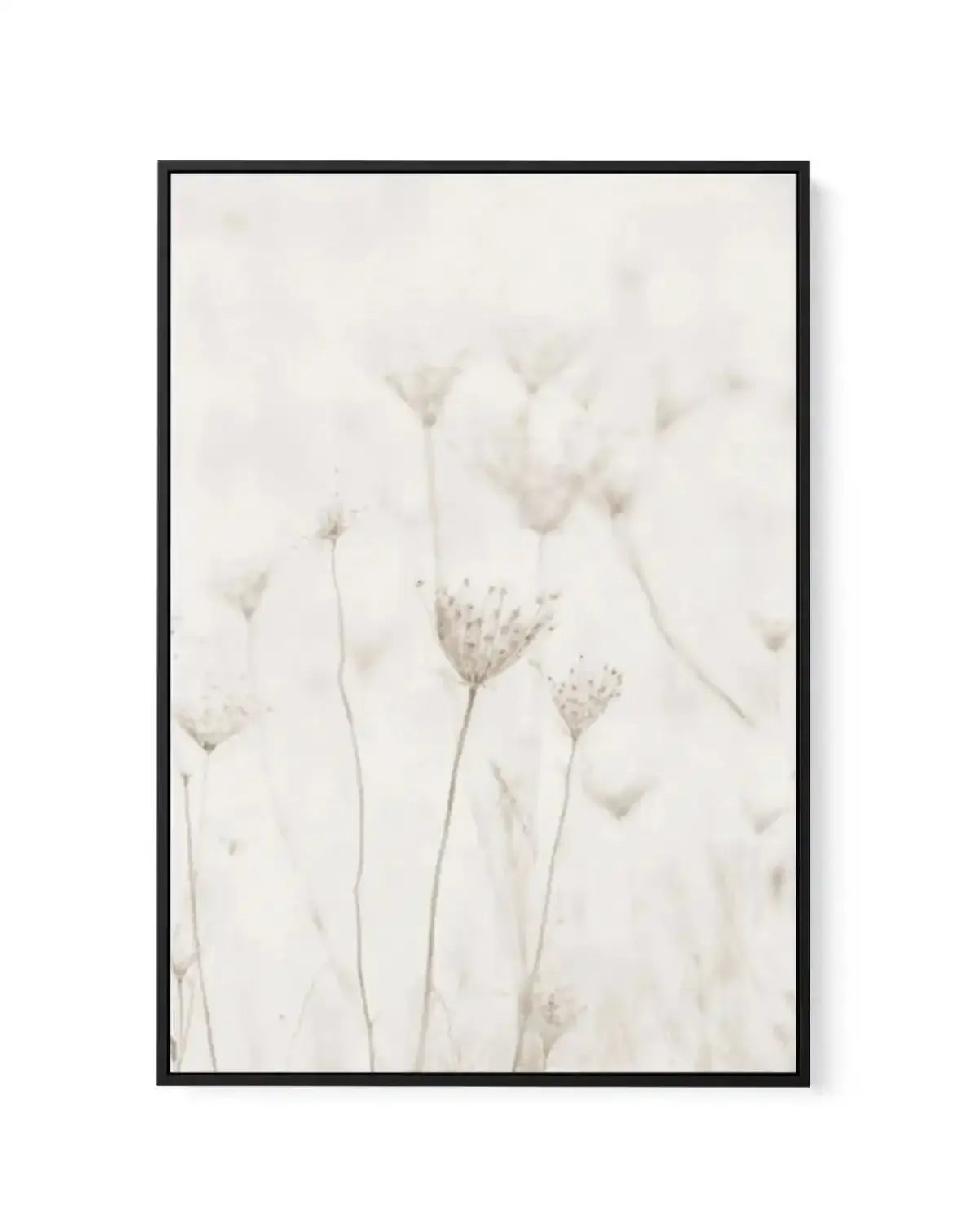 Among The Dandelions | Framed Canvas-CANVAS-You can shop wall art online with Olive et Oriel for everything from abstract art to fun kids wall art. Our beautiful modern art prints and canvas art are available from large canvas prints to wall art paintings and our proudly Australian artwork collection offers only the highest quality framed large wall art and canvas art Australia - You can buy fashion photography prints or Hampton print posters and paintings on canvas from Olive et Oriel and have 