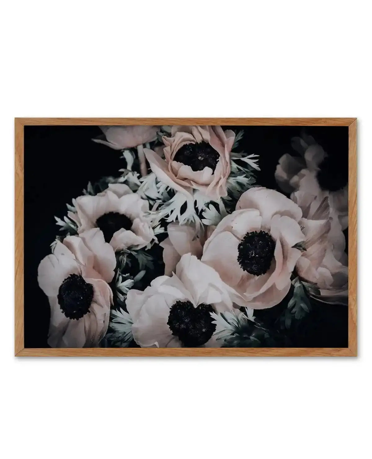 Anemone I Art Print-PRINT-Olive et Oriel-Olive et Oriel-50x70 cm | 19.6" x 27.5"-Walnut-With White Border-Buy-Australian-Art-Prints-Online-with-Olive-et-Oriel-Your-Artwork-Specialists-Austrailia-Decorate-With-Coastal-Photo-Wall-Art-Prints-From-Our-Beach-House-Artwork-Collection-Fine-Poster-and-Framed-Artwork