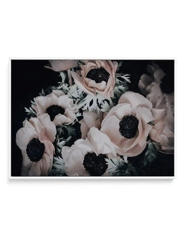 Anemone I | Framed Canvas-CANVAS-You can shop wall art online with Olive et Oriel for everything from abstract art to fun kids wall art. Our beautiful modern art prints and canvas art are available from large canvas prints to wall art paintings and our proudly Australian artwork collection offers only the highest quality framed large wall art and canvas art Australia - You can buy fashion photography prints or Hampton print posters and paintings on canvas from Olive et Oriel and have them delive