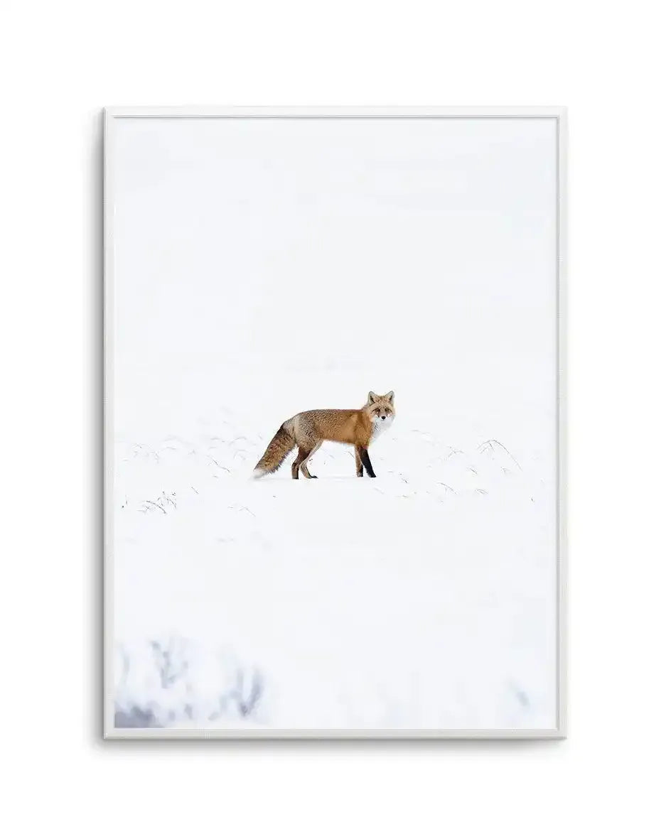 Arctic Fox | PT Art Print-PRINT-Olive et Oriel-Olive et Oriel-A5 | 5.8" x 8.3" | 14.8 x 21cm-Unframed Art Print-With White Border-Buy-Australian-Art-Prints-Online-with-Olive-et-Oriel-Your-Artwork-Specialists-Austrailia-Decorate-With-Coastal-Photo-Wall-Art-Prints-From-Our-Beach-House-Artwork-Collection-Fine-Poster-and-Framed-Artwork