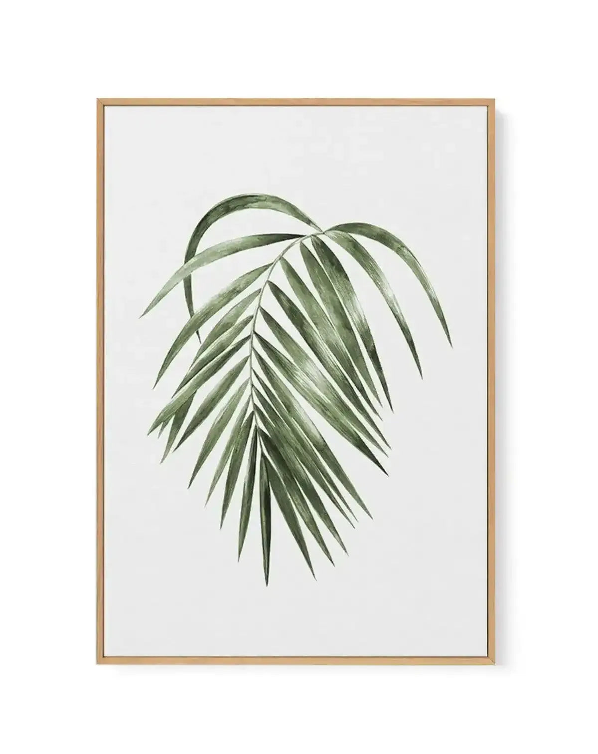 Areca Palm | Framed Canvas-CANVAS-You can shop wall art online with Olive et Oriel for everything from abstract art to fun kids wall art. Our beautiful modern art prints and canvas art are available from large canvas prints to wall art paintings and our proudly Australian artwork collection offers only the highest quality framed large wall art and canvas art Australia - You can buy fashion photography prints or Hampton print posters and paintings on canvas from Olive et Oriel and have them deliv