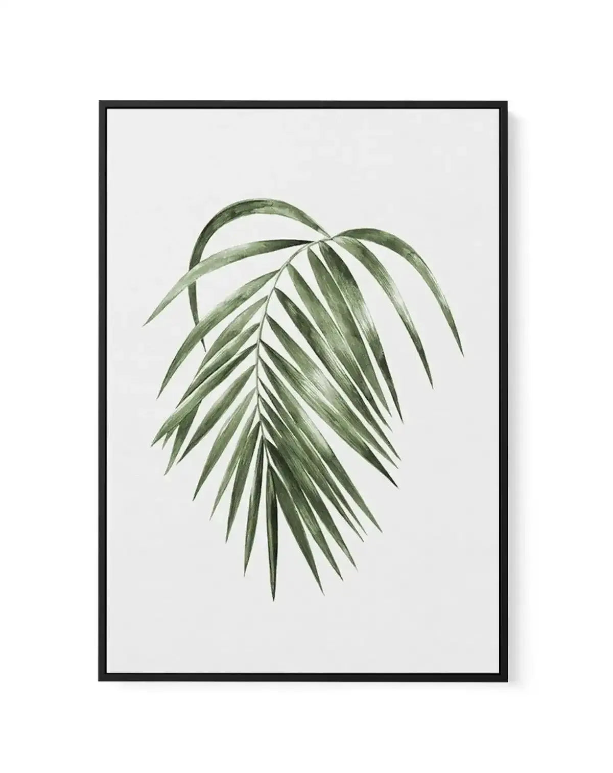 Areca Palm | Framed Canvas-CANVAS-You can shop wall art online with Olive et Oriel for everything from abstract art to fun kids wall art. Our beautiful modern art prints and canvas art are available from large canvas prints to wall art paintings and our proudly Australian artwork collection offers only the highest quality framed large wall art and canvas art Australia - You can buy fashion photography prints or Hampton print posters and paintings on canvas from Olive et Oriel and have them deliv