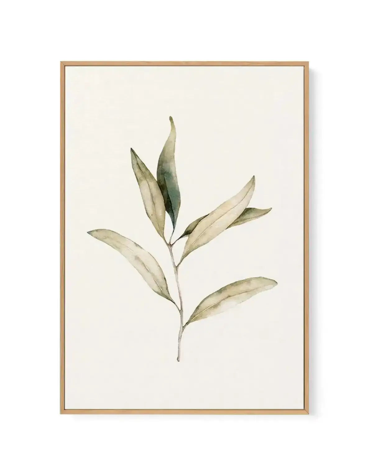 Australian Foliage I | Framed Canvas-CANVAS-You can shop wall art online with Olive et Oriel for everything from abstract art to fun kids wall art. Our beautiful modern art prints and canvas art are available from large canvas prints to wall art paintings and our proudly Australian artwork collection offers only the highest quality framed large wall art and canvas art Australia - You can buy fashion photography prints or Hampton print posters and paintings on canvas from Olive et Oriel and have 