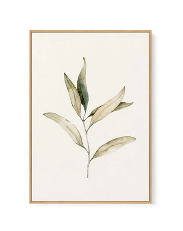 Australian Foliage I | Framed Canvas-CANVAS-You can shop wall art online with Olive et Oriel for everything from abstract art to fun kids wall art. Our beautiful modern art prints and canvas art are available from large canvas prints to wall art paintings and our proudly Australian artwork collection offers only the highest quality framed large wall art and canvas art Australia - You can buy fashion photography prints or Hampton print posters and paintings on canvas from Olive et Oriel and have 