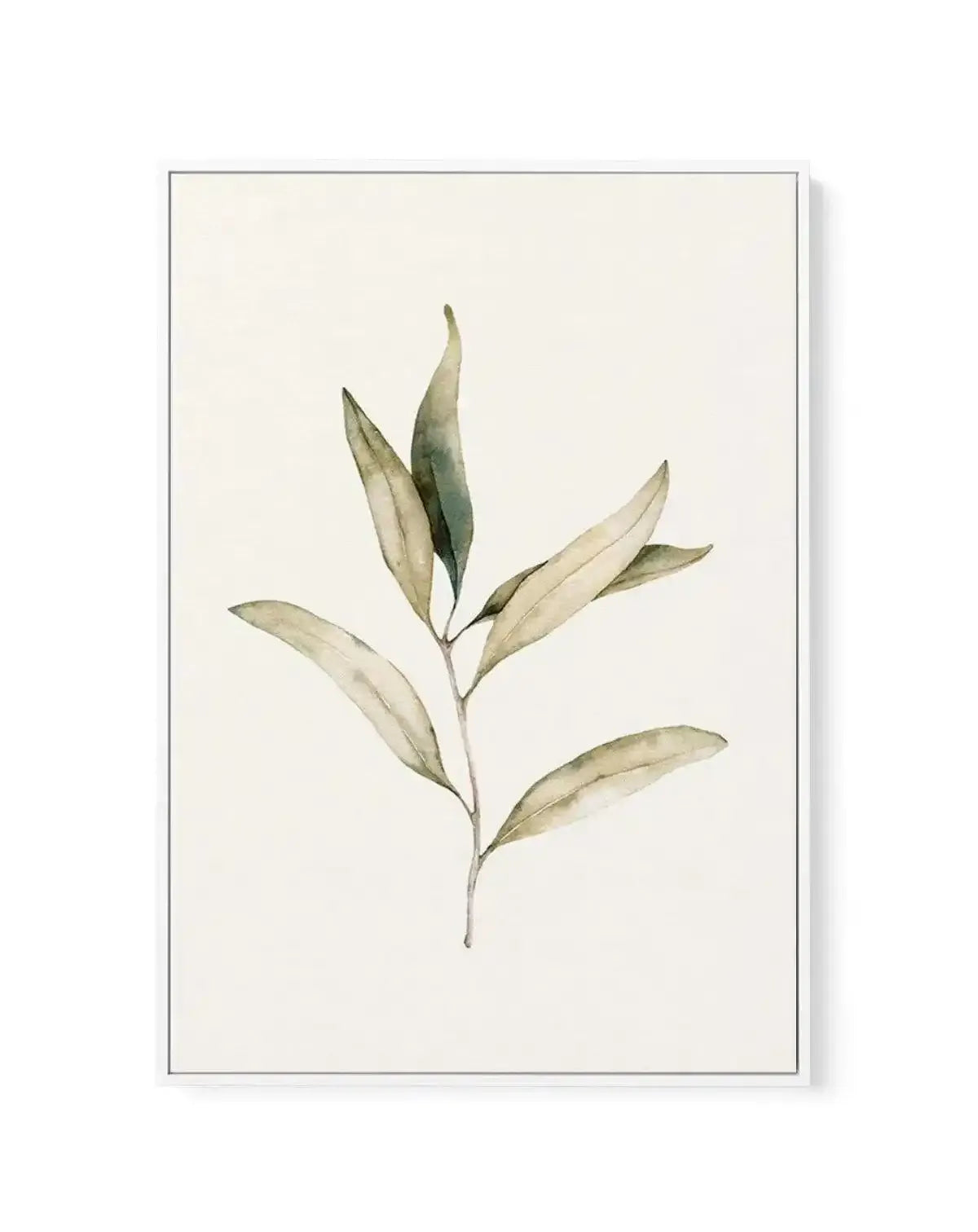 Australian Foliage I | Framed Canvas-CANVAS-You can shop wall art online with Olive et Oriel for everything from abstract art to fun kids wall art. Our beautiful modern art prints and canvas art are available from large canvas prints to wall art paintings and our proudly Australian artwork collection offers only the highest quality framed large wall art and canvas art Australia - You can buy fashion photography prints or Hampton print posters and paintings on canvas from Olive et Oriel and have 