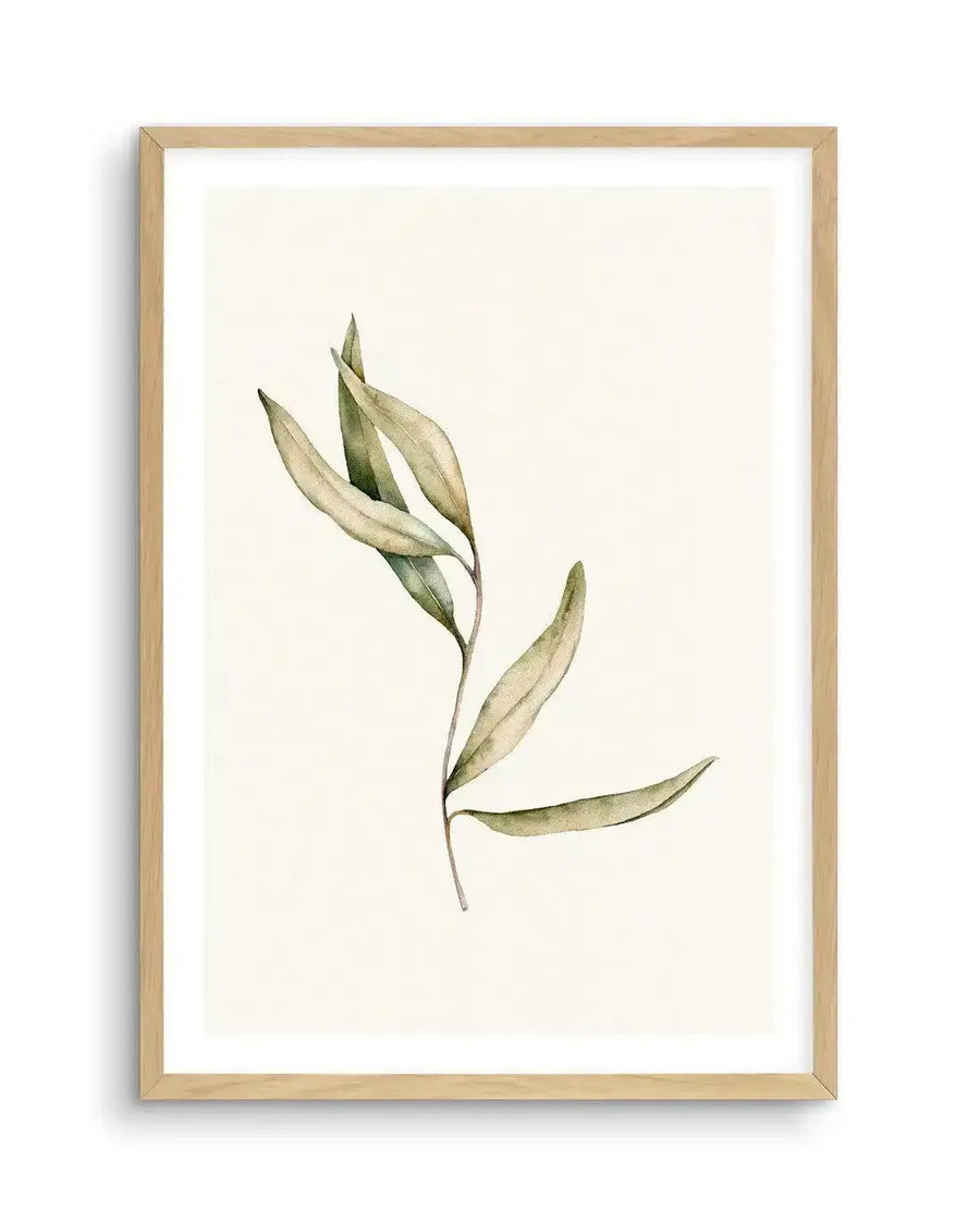 Watercolour art print featuring a single olive branch with several elongated leaves in muted sage green and pale olive tones, on a soft cream background, displayed in a natural oak frame with white border.