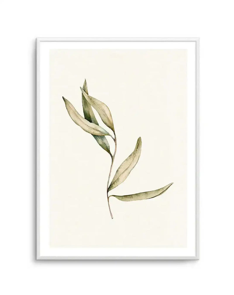 Watercolour art print featuring a single olive branch with five elongated leaves in muted sage green and pale olive tones, on a cream background, printed on fine art paper and displayed in a white frame with white border.