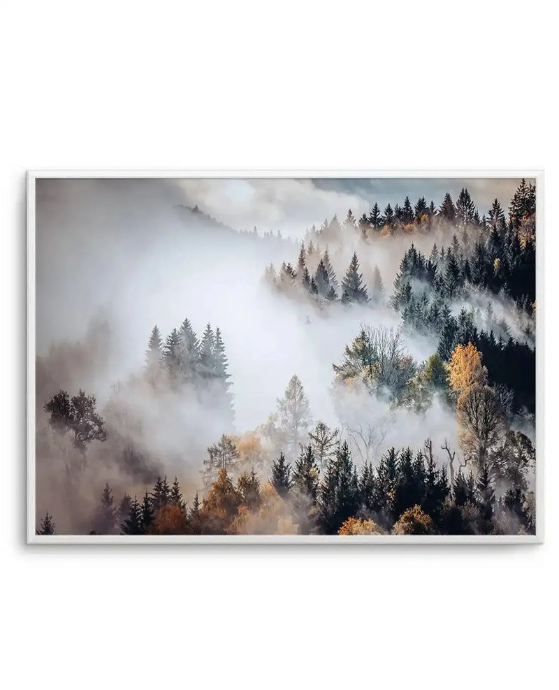 Framed photography art print of an autumn forest in mist, with a white frame and white border. The composition features evergreen trees and deciduous trees with golden and russet leaves shrouded in a soft, ethereal mist, creating a serene and atmospheric landscape.