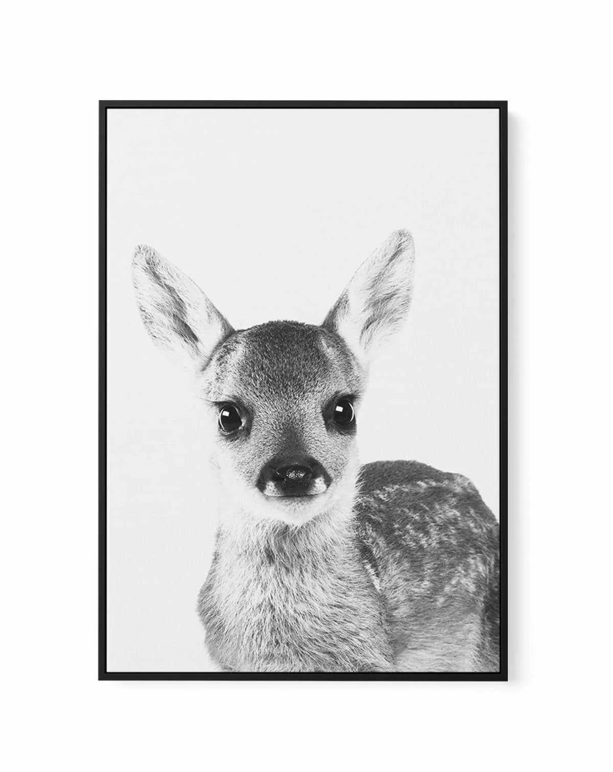 Baby Deer | B&W | Framed Canvas-CANVAS-You can shop wall art online with Olive et Oriel for everything from abstract art to fun kids wall art. Our beautiful modern art prints and canvas art are available from large canvas prints to wall art paintings and our proudly Australian artwork collection offers only the highest quality framed large wall art and canvas art Australia - You can buy fashion photography prints or Hampton print posters and paintings on canvas from Olive et Oriel and have them 