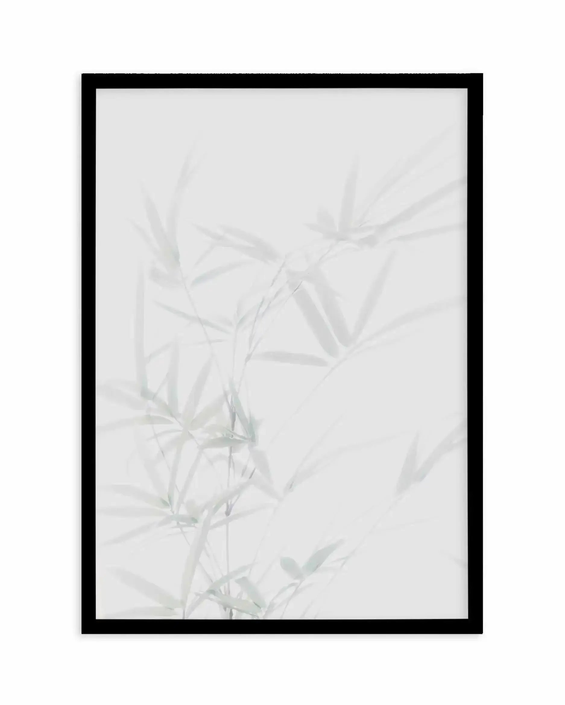 Bamboo I Art Print-PRINT-Olive et Oriel-Olive et Oriel-A5 | 5.8" x 8.3" | 14.8 x 21cm-Black-With White Border-Buy-Australian-Art-Prints-Online-with-Olive-et-Oriel-Your-Artwork-Specialists-Austrailia-Decorate-With-Coastal-Photo-Wall-Art-Prints-From-Our-Beach-House-Artwork-Collection-Fine-Poster-and-Framed-Artwork