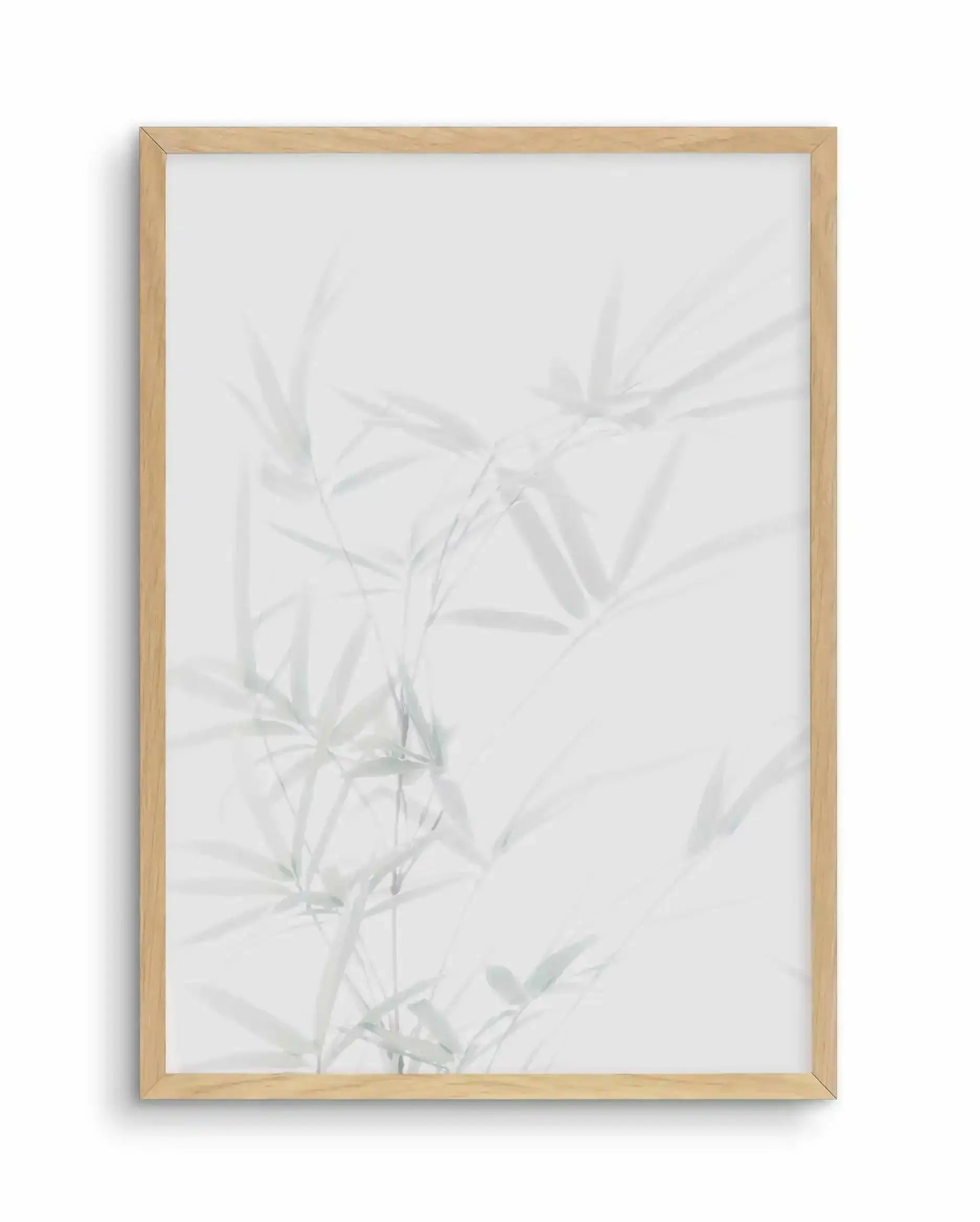 Bamboo I Art Print-PRINT-Olive et Oriel-Olive et Oriel-A5 | 5.8" x 8.3" | 14.8 x 21cm-Oak-With White Border-Buy-Australian-Art-Prints-Online-with-Olive-et-Oriel-Your-Artwork-Specialists-Austrailia-Decorate-With-Coastal-Photo-Wall-Art-Prints-From-Our-Beach-House-Artwork-Collection-Fine-Poster-and-Framed-Artwork