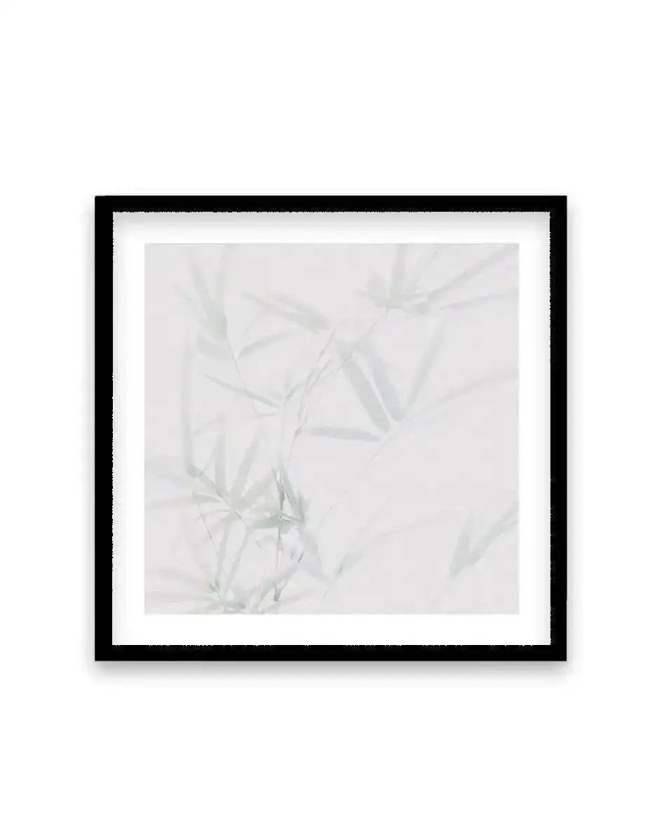 Bamboo No I | SQ Art Print-PRINT-Olive et Oriel-Olive et Oriel-70x70 cm | 27.5" x 27.5"-Black-With White Border-Buy-Australian-Art-Prints-Online-with-Olive-et-Oriel-Your-Artwork-Specialists-Austrailia-Decorate-With-Coastal-Photo-Wall-Art-Prints-From-Our-Beach-House-Artwork-Collection-Fine-Poster-and-Framed-Artwork