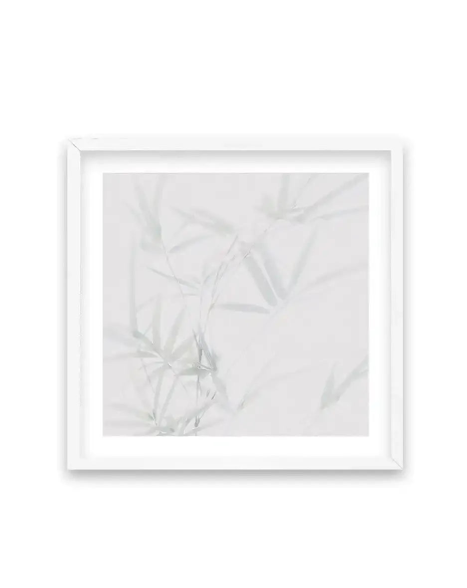Bamboo No I | SQ Art Print-PRINT-Olive et Oriel-Olive et Oriel-70x70 cm | 27.5" x 27.5"-White-With White Border-Buy-Australian-Art-Prints-Online-with-Olive-et-Oriel-Your-Artwork-Specialists-Austrailia-Decorate-With-Coastal-Photo-Wall-Art-Prints-From-Our-Beach-House-Artwork-Collection-Fine-Poster-and-Framed-Artwork