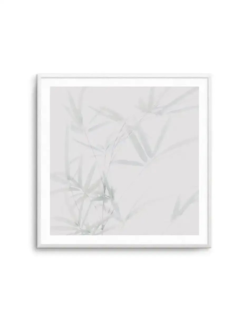 Bamboo No I | SQ Art Print-PRINT-Olive et Oriel-Olive et Oriel-Buy-Australian-Art-Prints-Online-with-Olive-et-Oriel-Your-Artwork-Specialists-Austrailia-Decorate-With-Coastal-Photo-Wall-Art-Prints-From-Our-Beach-House-Artwork-Collection-Fine-Poster-and-Framed-Artwork