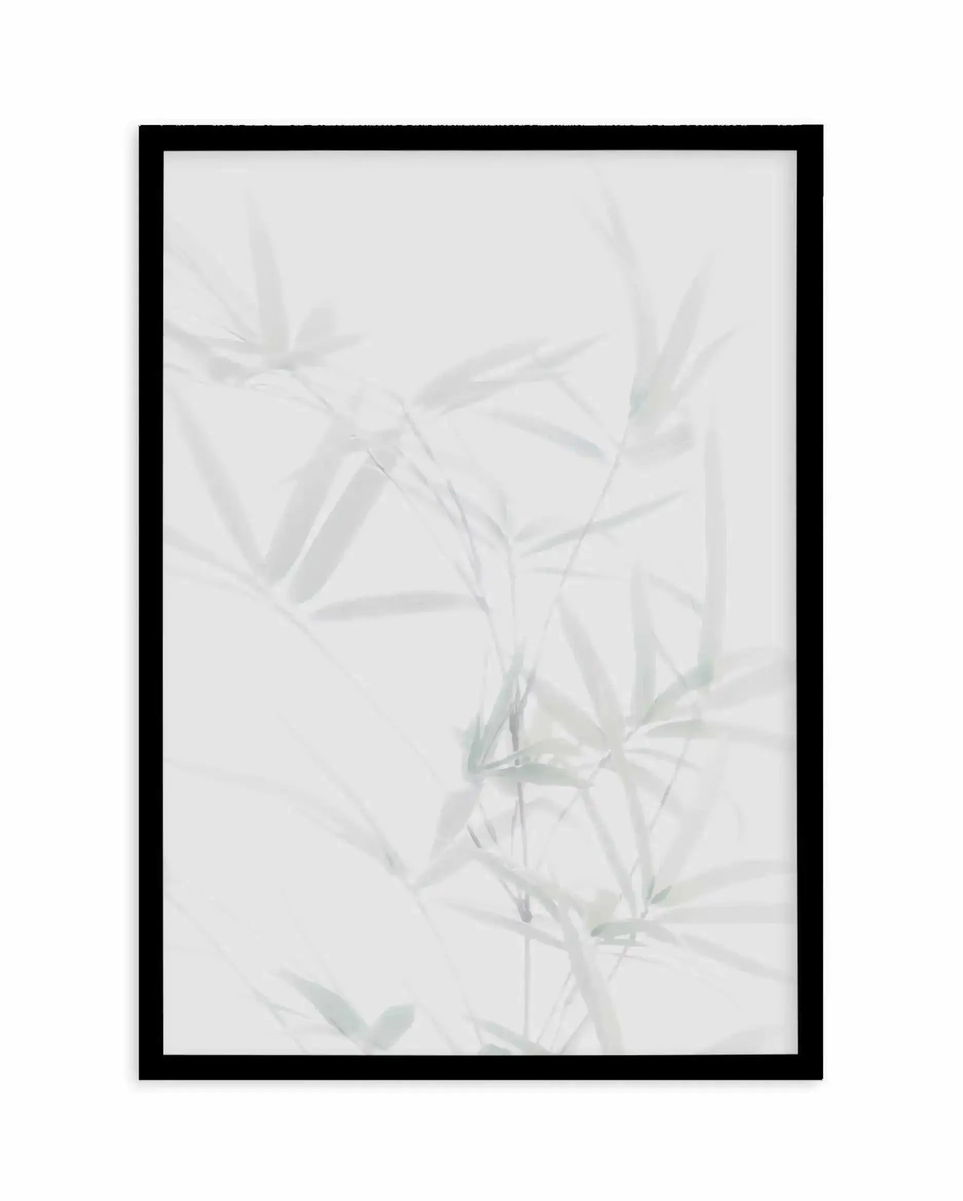 Bamboo II Art Print-PRINT-Olive et Oriel-Olive et Oriel-A5 | 5.8" x 8.3" | 14.8 x 21cm-Black-With White Border-Buy-Australian-Art-Prints-Online-with-Olive-et-Oriel-Your-Artwork-Specialists-Austrailia-Decorate-With-Coastal-Photo-Wall-Art-Prints-From-Our-Beach-House-Artwork-Collection-Fine-Poster-and-Framed-Artwork