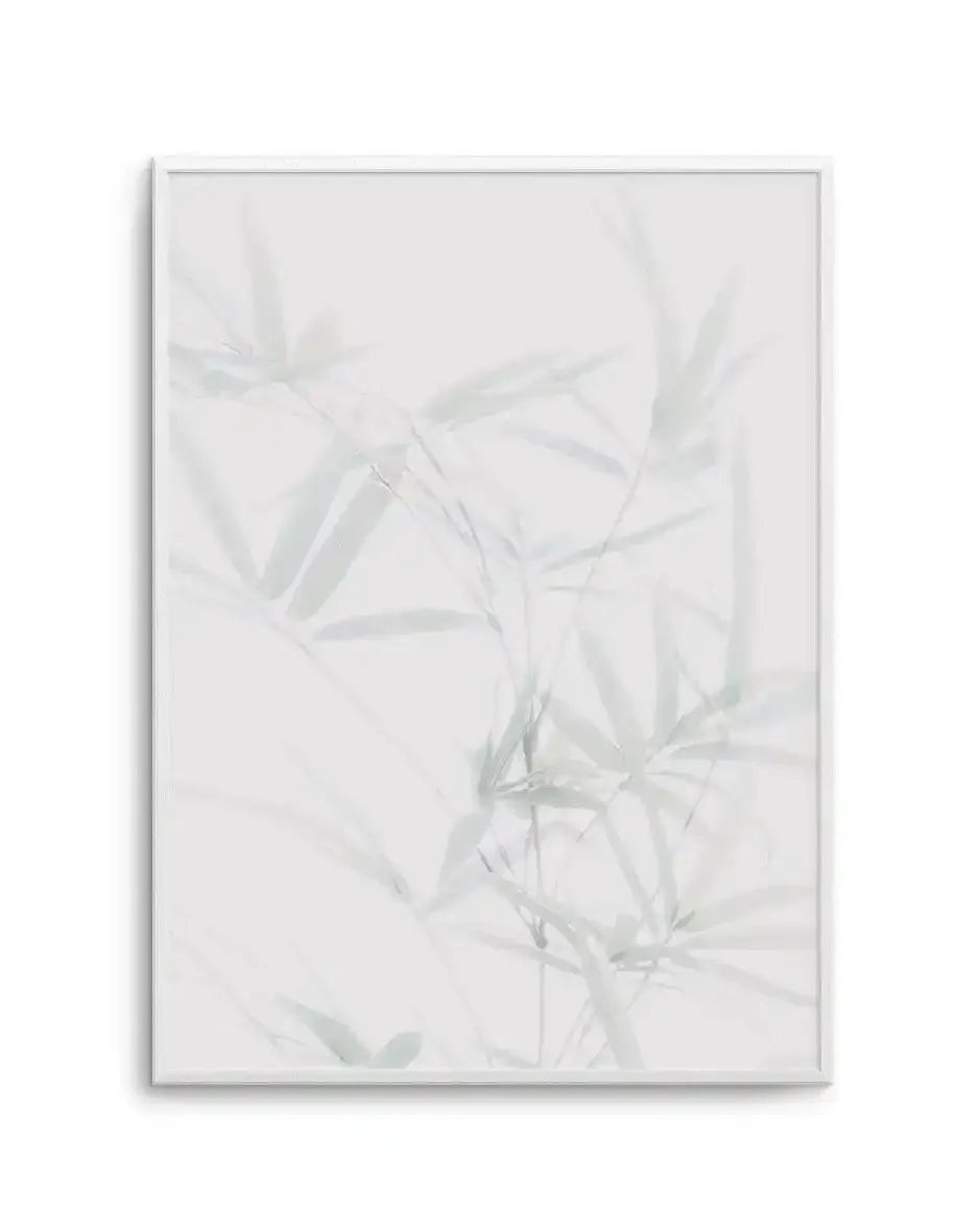 Bamboo II Art Print-PRINT-Olive et Oriel-Olive et Oriel-A5 | 5.8" x 8.3" | 14.8 x 21cm-Unframed Art Print-With White Border-Buy-Australian-Art-Prints-Online-with-Olive-et-Oriel-Your-Artwork-Specialists-Austrailia-Decorate-With-Coastal-Photo-Wall-Art-Prints-From-Our-Beach-House-Artwork-Collection-Fine-Poster-and-Framed-Artwork
