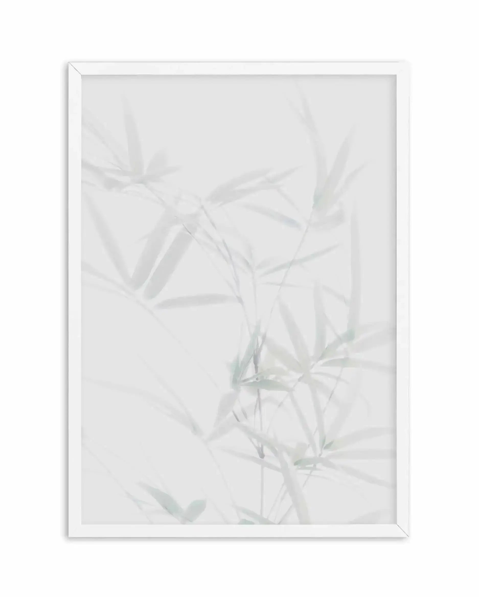 Bamboo II Art Print-PRINT-Olive et Oriel-Olive et Oriel-A5 | 5.8" x 8.3" | 14.8 x 21cm-White-With White Border-Buy-Australian-Art-Prints-Online-with-Olive-et-Oriel-Your-Artwork-Specialists-Austrailia-Decorate-With-Coastal-Photo-Wall-Art-Prints-From-Our-Beach-House-Artwork-Collection-Fine-Poster-and-Framed-Artwork