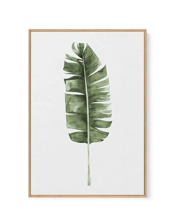 Banana Leaf II | Framed Canvas-CANVAS-You can shop wall art online with Olive et Oriel for everything from abstract art to fun kids wall art. Our beautiful modern art prints and canvas art are available from large canvas prints to wall art paintings and our proudly Australian artwork collection offers only the highest quality framed large wall art and canvas art Australia - You can buy fashion photography prints or Hampton print posters and paintings on canvas from Olive et Oriel and have them d