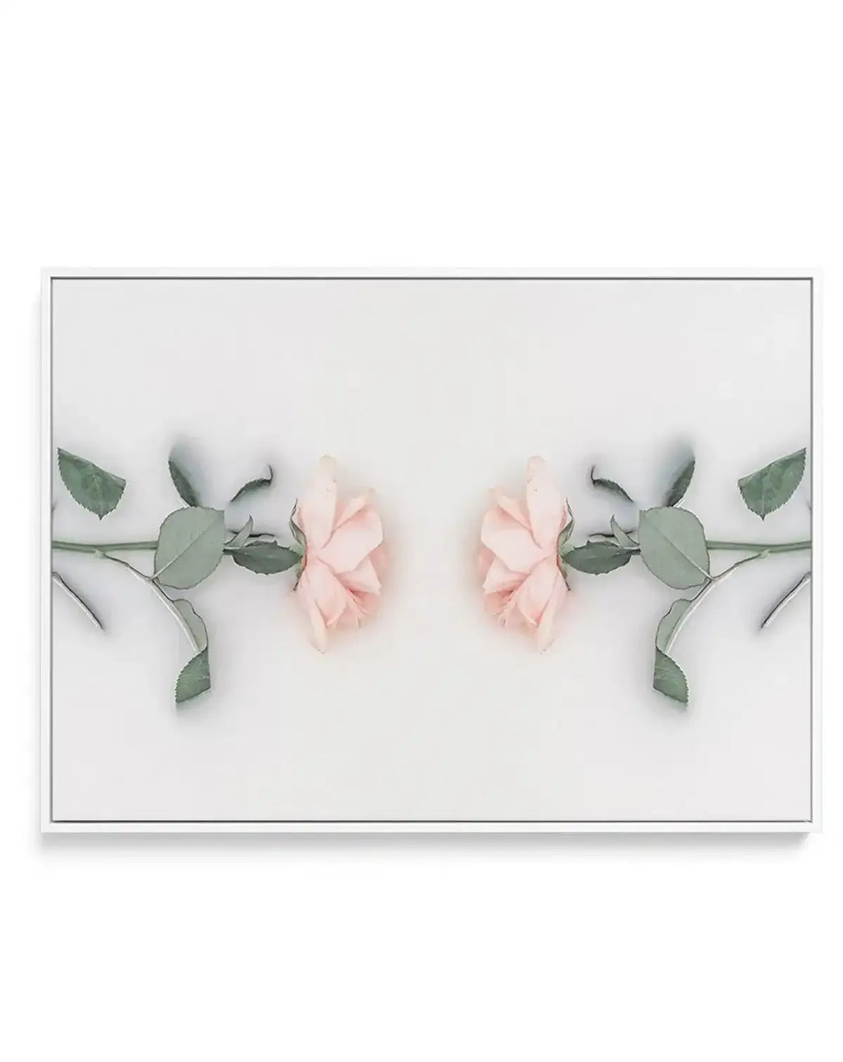 Bathing Roses II | Framed Canvas-CANVAS-You can shop wall art online with Olive et Oriel for everything from abstract art to fun kids wall art. Our beautiful modern art prints and canvas art are available from large canvas prints to wall art paintings and our proudly Australian artwork collection offers only the highest quality framed large wall art and canvas art Australia - You can buy fashion photography prints or Hampton print posters and paintings on canvas from Olive et Oriel and have them