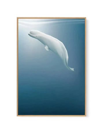 Beluga | Graphic Whales Collection | Framed Canvas Art Print blue nature art print