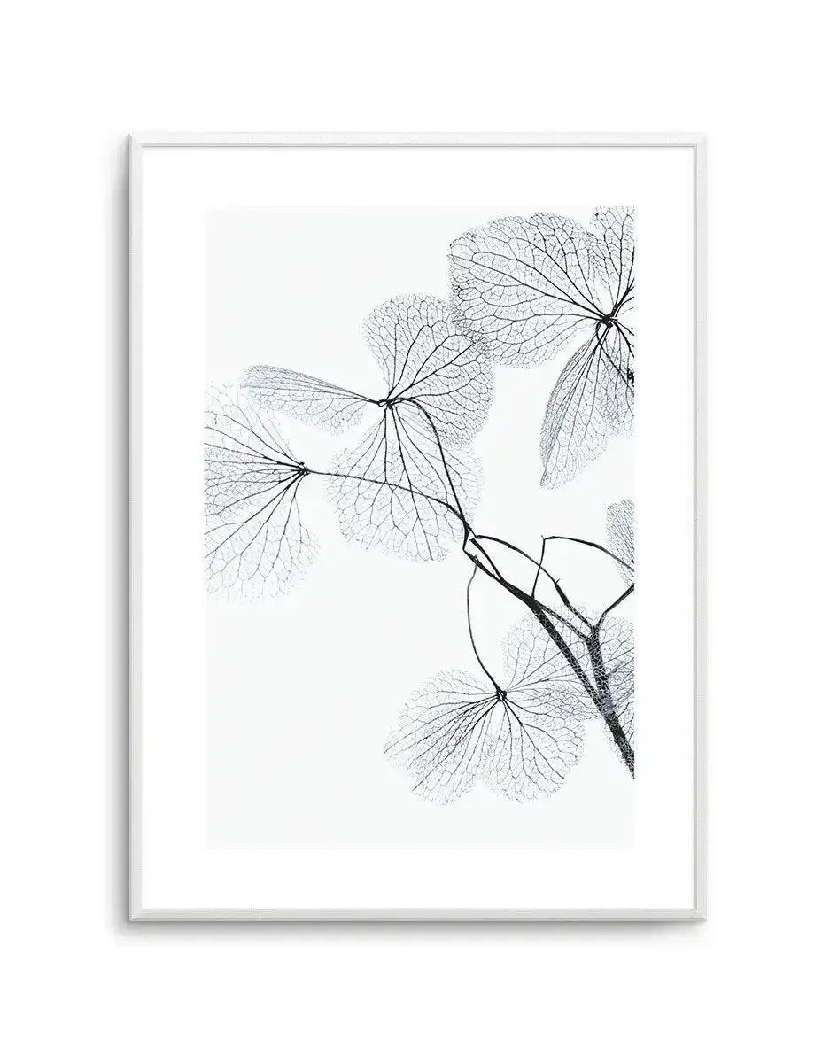 Blue Leaves II Art Print-PRINT-Olive et Oriel-Olive et Oriel-A5 | 5.8" x 8.3" | 14.8 x 21cm-Unframed Art Print-With White Border-Buy-Australian-Art-Prints-Online-with-Olive-et-Oriel-Your-Artwork-Specialists-Austrailia-Decorate-With-Coastal-Photo-Wall-Art-Prints-From-Our-Beach-House-Artwork-Collection-Fine-Poster-and-Framed-Artwork