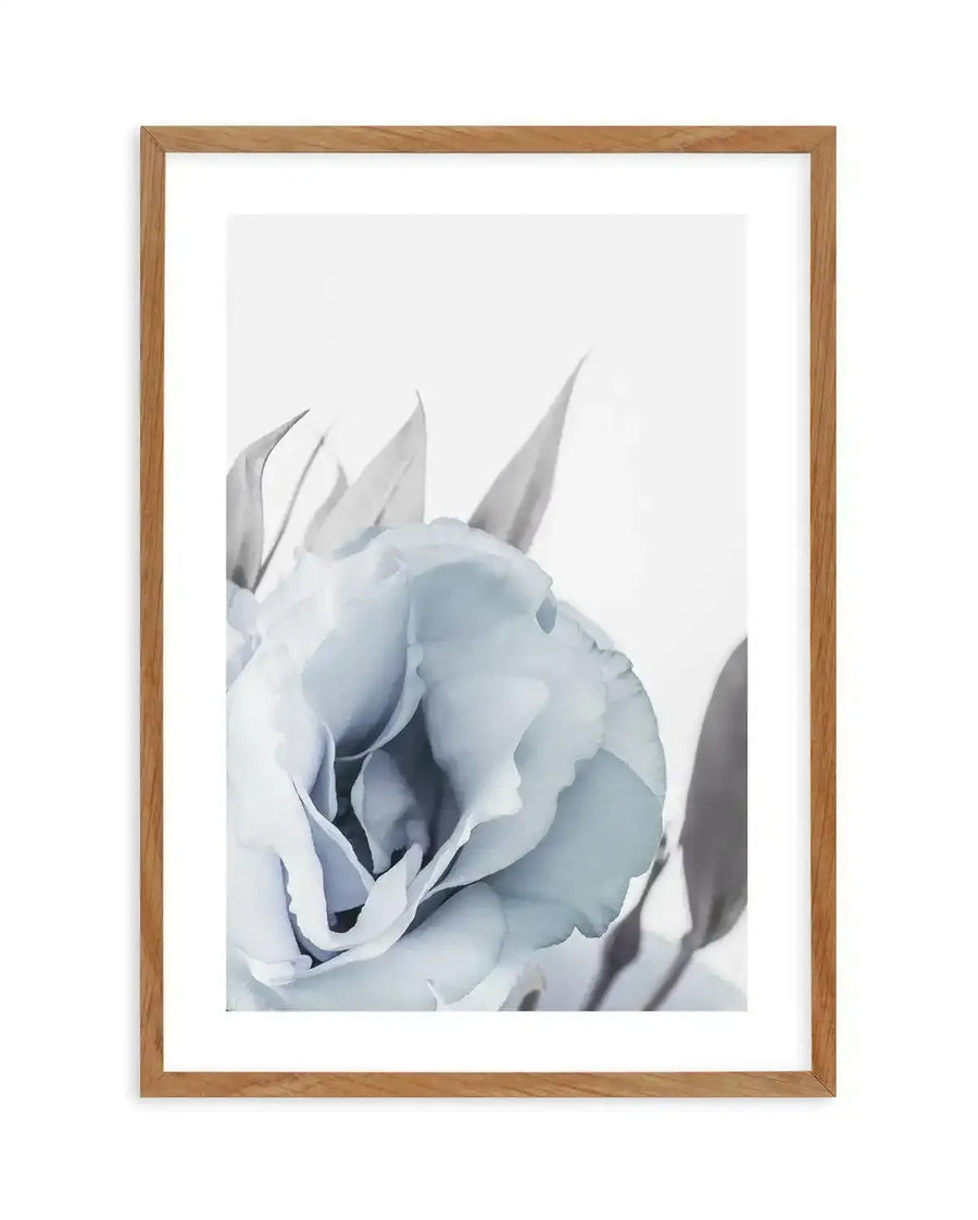 Framed art print featuring a close-up watercolor illustration of a blue lisianthus flower. The delicate bloom is rendered in soft shades of pale blue and gray with white highlights, showing layered petals and pointed sepals against a light cream background. The artwork is displayed in a natural wood frame with a white border.
