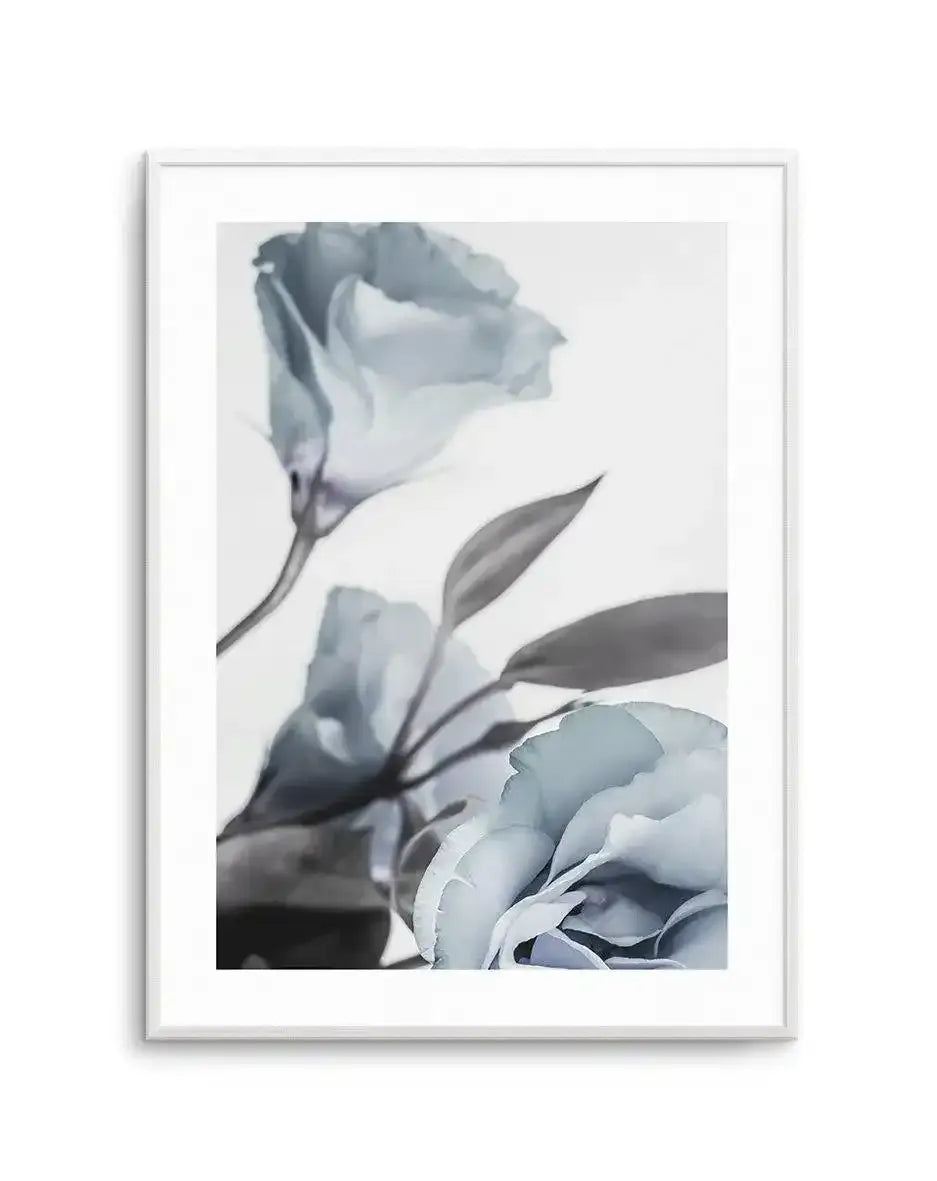Blue Lisianthus I Art Print-PRINT-Olive et Oriel-Olive et Oriel-A5 | 5.8" x 8.3" | 14.8 x 21cm-Unframed Art Print-With White Border-Buy-Australian-Art-Prints-Online-with-Olive-et-Oriel-Your-Artwork-Specialists-Austrailia-Decorate-With-Coastal-Photo-Wall-Art-Prints-From-Our-Beach-House-Artwork-Collection-Fine-Poster-and-Framed-Artwork