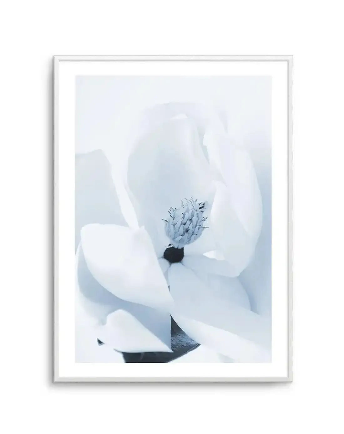 Blue Magnolia Art Print-PRINT-Olive et Oriel-Olive et Oriel-A5 | 5.8" x 8.3" | 14.8 x 21cm-Unframed Art Print-With White Border-Buy-Australian-Art-Prints-Online-with-Olive-et-Oriel-Your-Artwork-Specialists-Austrailia-Decorate-With-Coastal-Photo-Wall-Art-Prints-From-Our-Beach-House-Artwork-Collection-Fine-Poster-and-Framed-Artwork