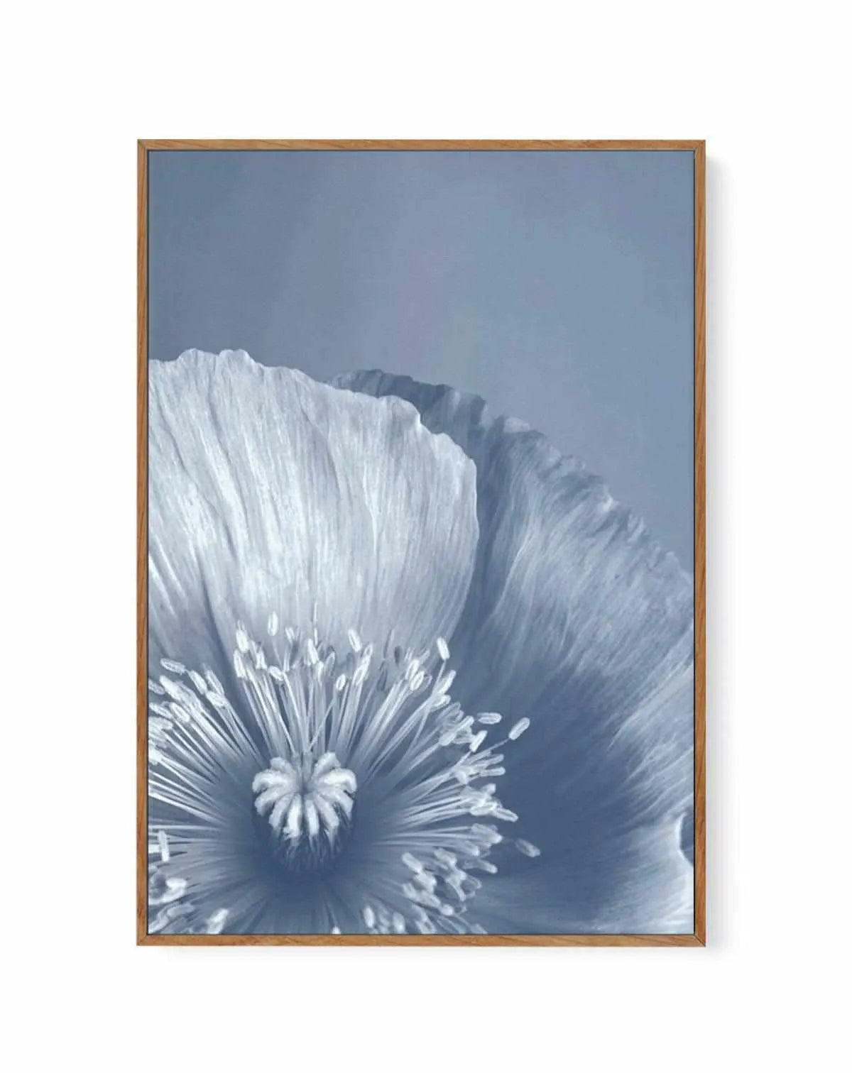 Blue Poppy II | Framed Canvas from Olive et Oriel where you can shop wallpaper and artworks online