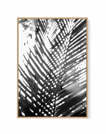 Blur | Framed Canvas-CANVAS-You can shop wall art online with Olive et Oriel for everything from abstract art to fun kids wall art. Our beautiful modern art prints and canvas art are available from large canvas prints to wall art paintings and our proudly Australian artwork collection offers only the highest quality framed large wall art and canvas art Australia - You can buy fashion photography prints or Hampton print posters and paintings on canvas from Olive et Oriel and have them delivered t