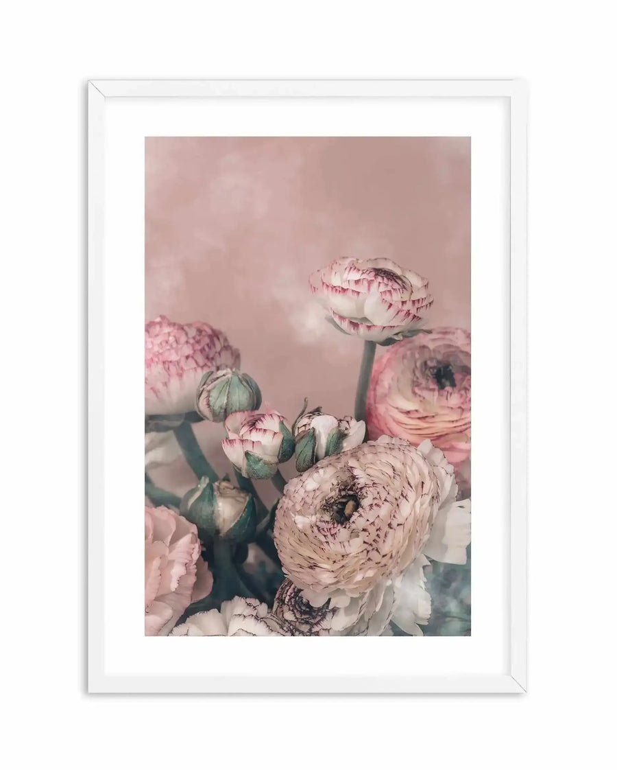 Framed art print featuring a soft, muted photograph of blush pink and cream ranunculus flowers with layered petals at various stages of bloom, alongside closed green buds, against a dusty rose background. The image has a painterly, romantic quality with soft focus and gentle shadows. White wooden frame with white border surrounding the artwork.
