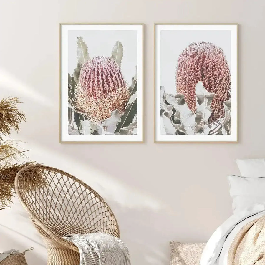 Lifestyle shot of a bedroom featuring two framed art prints above a bed. The prints feature close-up photographs of Banksia flowers with elongated, spiky pink and cream florets, surrounded by large, grey-green leaves, displayed in natural wood frames with white borders. A woven rattan chair with a light grey throw blanket sits in the foreground, and a white bed with a beige throw is visible on the right.