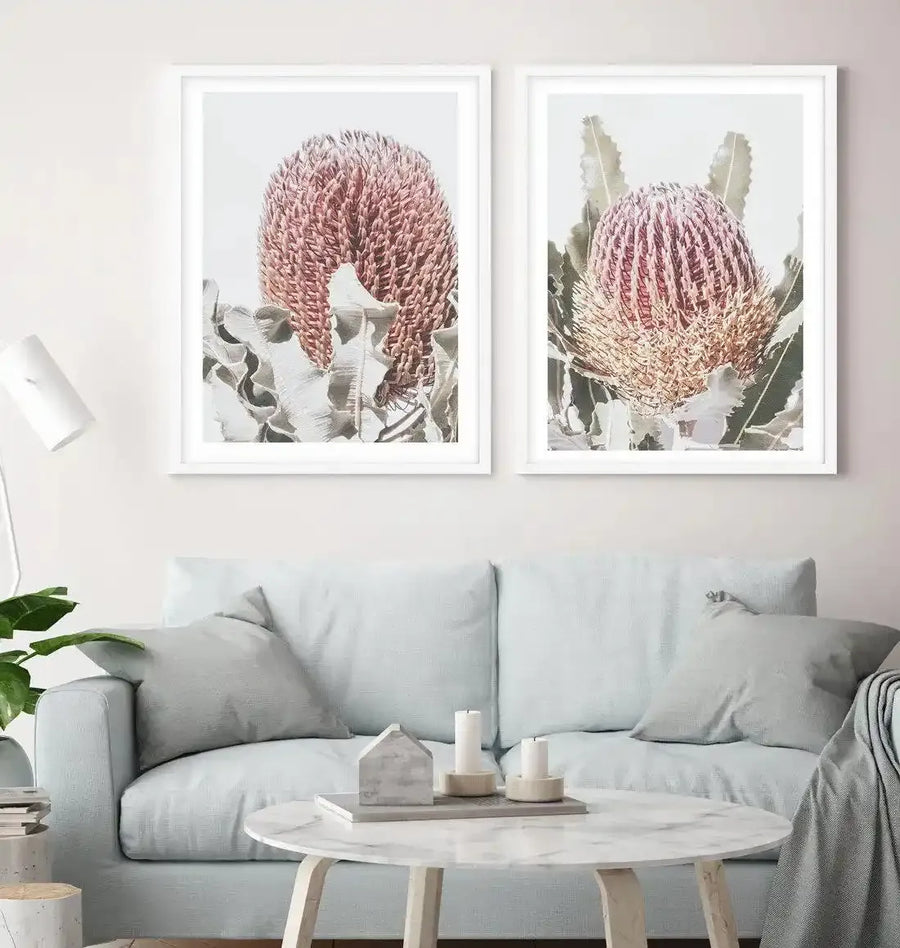 Two framed art prints displayed side-by-side above a light blue sofa in a bright living room. Each print features a close-up photograph of a Banksia flower with a textured, spiky bloom in shades of dusty rose, blush pink, and cream, surrounded by muted green and grey leaves, set against a bright white background. Both prints are in white frames with white borders. The room includes a marble coffee table with candles and a small house-shaped decor item, and a white floor lamp.