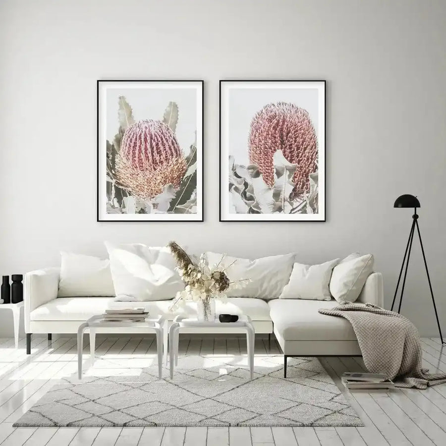 Framed art print diptych showing two botanical photographs of Banksia flowers with dusty rose-pink blooms and grey-green stems and leaves against white backgrounds. Each print is in a black frame with white border, displayed on a light grey wall above a cream linen sectional sofa in a minimalist living room setting.