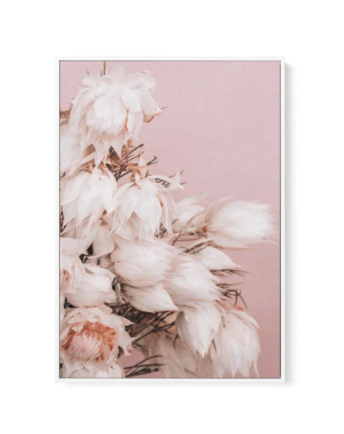 Blushing Bride II | Framed Canvas-CANVAS-You can shop wall art online with Olive et Oriel for everything from abstract art to fun kids wall art. Our beautiful modern art prints and canvas art are available from large canvas prints to wall art paintings and our proudly Australian artwork collection offers only the highest quality framed large wall art and canvas art Australia - You can buy fashion photography prints or Hampton print posters and paintings on canvas from Olive et Oriel and have the