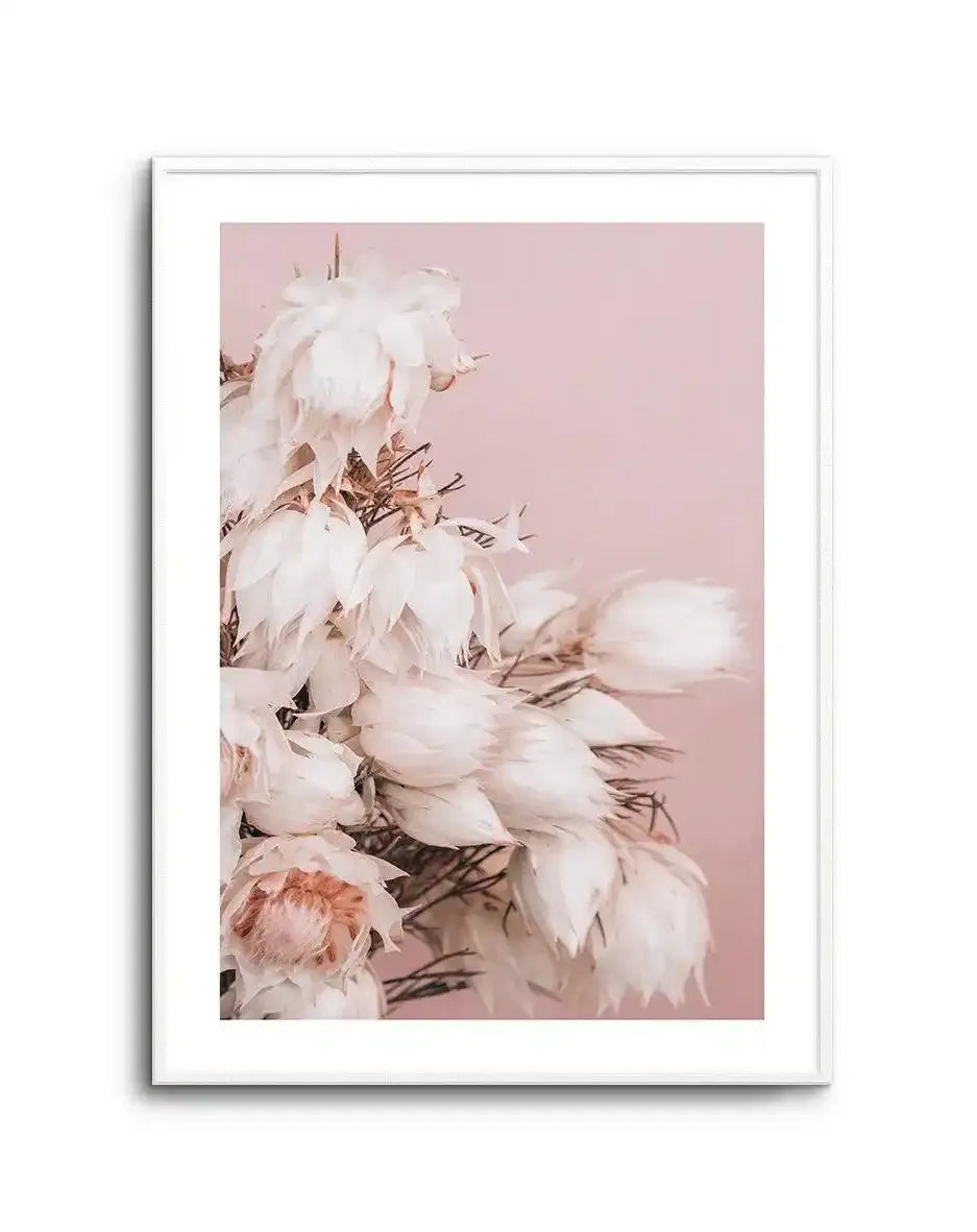 Blushing Bride II Art Print-PRINT-Olive et Oriel-Olive et Oriel-A5 | 5.8" x 8.3" | 14.8 x 21cm-Unframed Art Print-With White Border-Buy-Australian-Art-Prints-Online-with-Olive-et-Oriel-Your-Artwork-Specialists-Austrailia-Decorate-With-Coastal-Photo-Wall-Art-Prints-From-Our-Beach-House-Artwork-Collection-Fine-Poster-and-Framed-Artwork