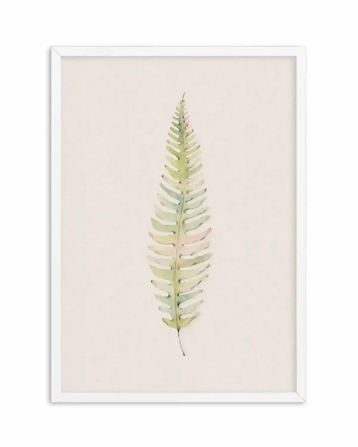 Blushing Fern I | Watercolor Art Print-PRINT-Olive et Oriel-Olive et Oriel-A4 | 8.3" x 11.7" | 21 x 29.7cm-White-With White Border-Buy-Australian-Art-Prints-Online-with-Olive-et-Oriel-Your-Artwork-Specialists-Austrailia-Decorate-With-Coastal-Photo-Wall-Art-Prints-From-Our-Beach-House-Artwork-Collection-Fine-Poster-and-Framed-Artwork