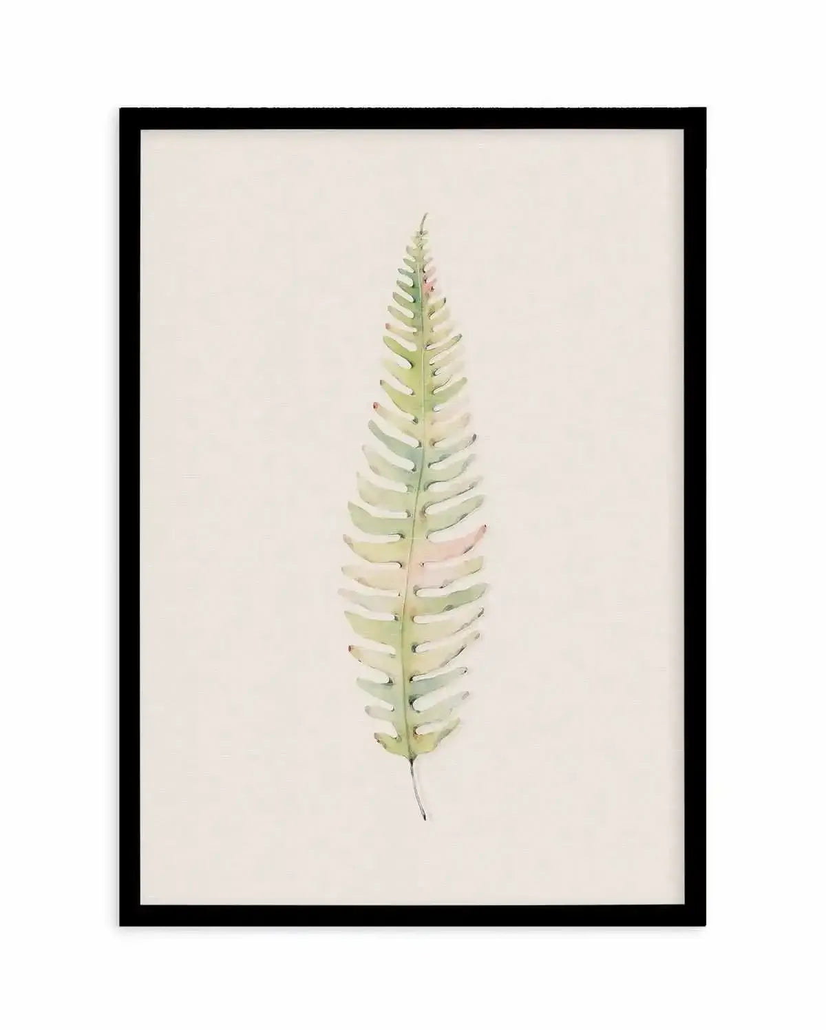 Blushing Fern I | Watercolor Art Print-PRINT-Olive et Oriel-Olive et Oriel-A4 | 8.3" x 11.7" | 21 x 29.7cm-Black-With White Border-Buy-Australian-Art-Prints-Online-with-Olive-et-Oriel-Your-Artwork-Specialists-Austrailia-Decorate-With-Coastal-Photo-Wall-Art-Prints-From-Our-Beach-House-Artwork-Collection-Fine-Poster-and-Framed-Artwork