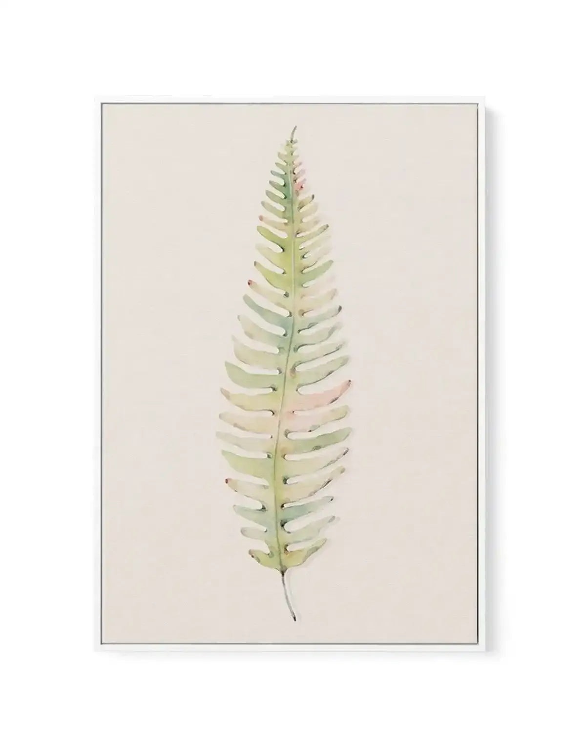 Blushing Fern I | Watercolor | Framed Canvas-CANVAS-You can shop wall art online with Olive et Oriel for everything from abstract art to fun kids wall art. Our beautiful modern art prints and canvas art are available from large canvas prints to wall art paintings and our proudly Australian artwork collection offers only the highest quality framed large wall art and canvas art Australia - You can buy fashion photography prints or Hampton print posters and paintings on canvas from Olive et Oriel a