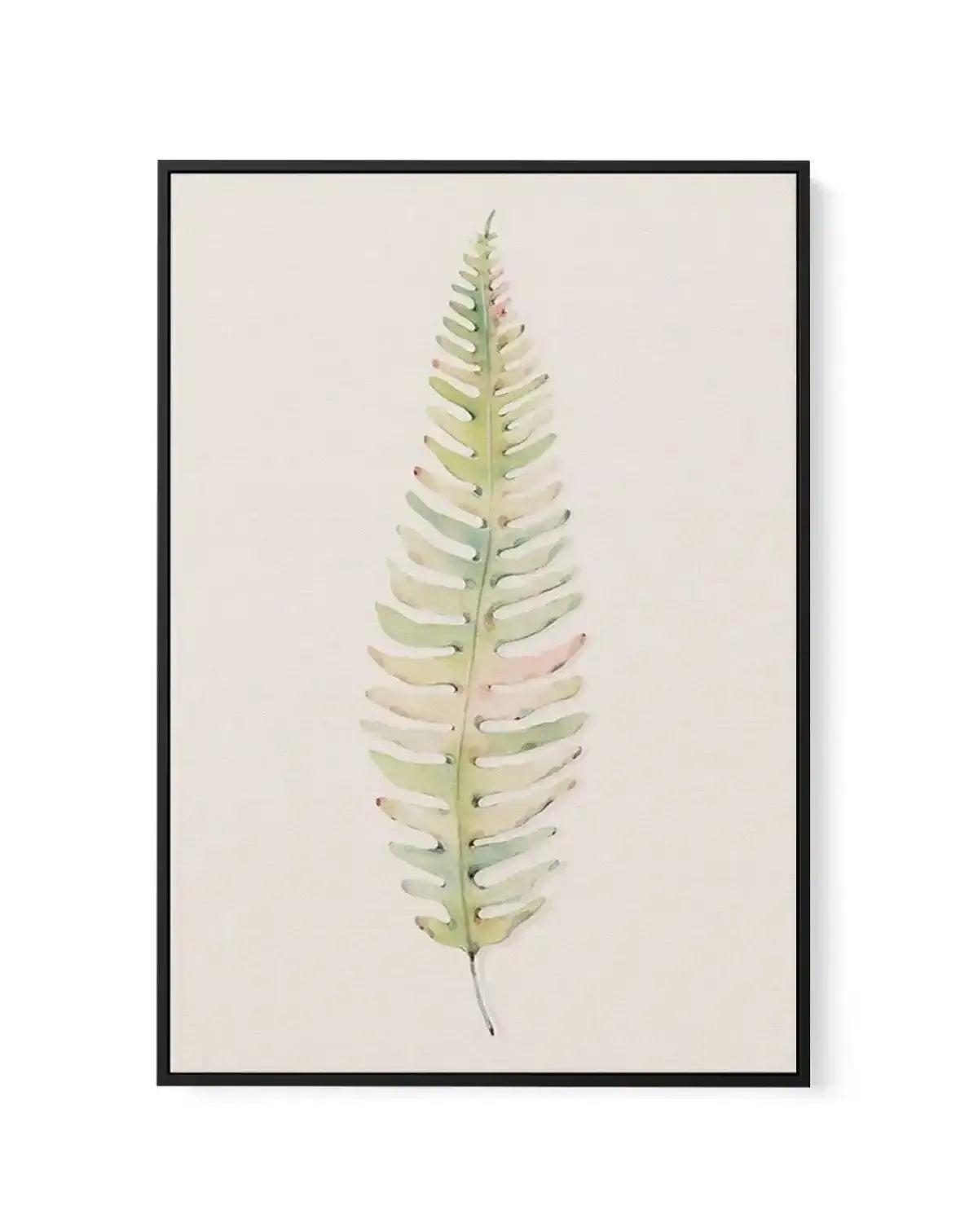 Blushing Fern I | Watercolor | Framed Canvas-CANVAS-You can shop wall art online with Olive et Oriel for everything from abstract art to fun kids wall art. Our beautiful modern art prints and canvas art are available from large canvas prints to wall art paintings and our proudly Australian artwork collection offers only the highest quality framed large wall art and canvas art Australia - You can buy fashion photography prints or Hampton print posters and paintings on canvas from Olive et Oriel a