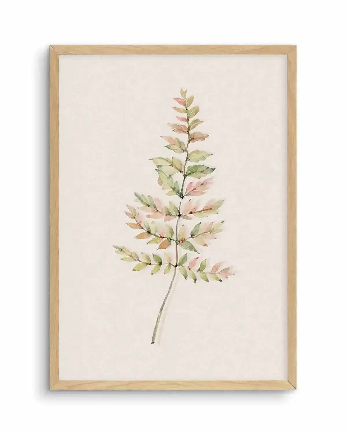 Blushing Fern II | Watercolor Art Print-PRINT-Olive et Oriel-Olive et Oriel-A4 | 8.3" x 11.7" | 21 x 29.7cm-Oak-With White Border-Buy-Australian-Art-Prints-Online-with-Olive-et-Oriel-Your-Artwork-Specialists-Austrailia-Decorate-With-Coastal-Photo-Wall-Art-Prints-From-Our-Beach-House-Artwork-Collection-Fine-Poster-and-Framed-Artwork