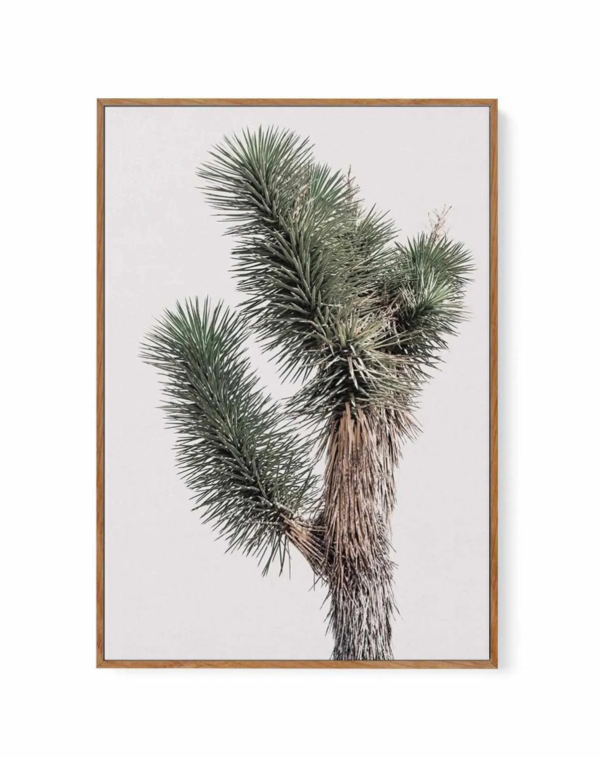 Blushing Joshua Tree I | Framed Canvas from Olive et Oriel where you can shop wallpaper and artworks online