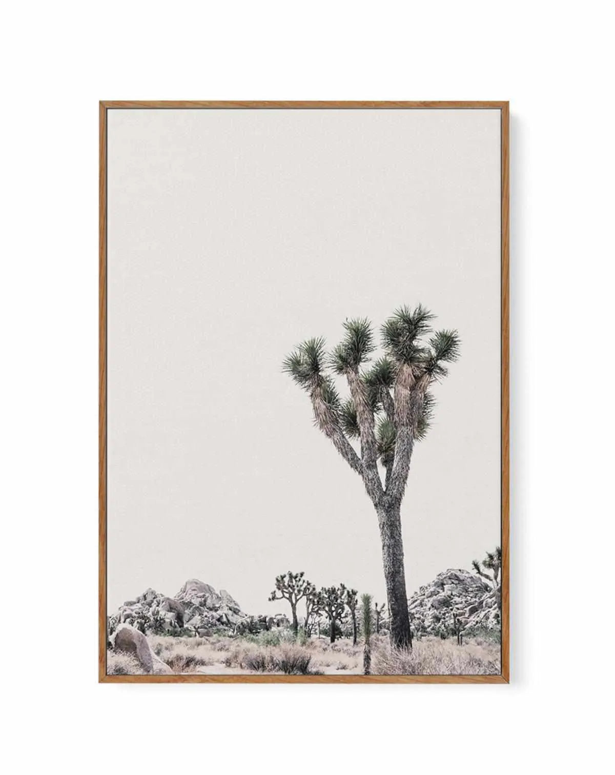 Blushing Joshua Tree II | Framed Canvas from Olive et Oriel where you can shop wallpaper and artworks online