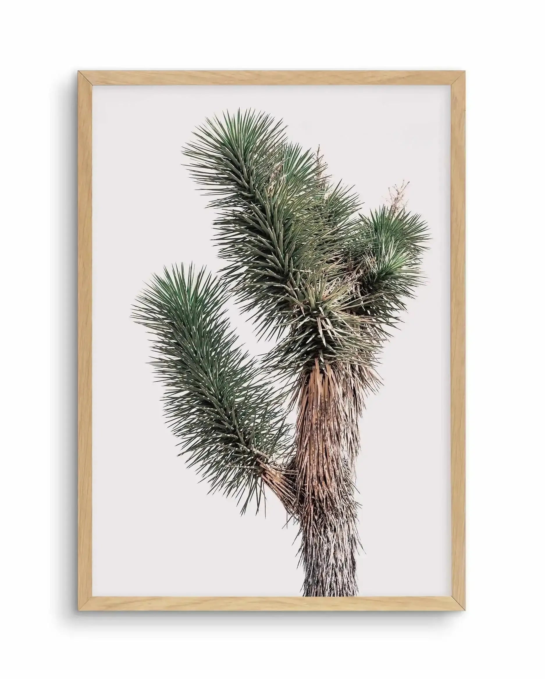 Blushing Joshua Tree I Art Print-PRINT-Olive et Oriel-Olive et Oriel-A4 | 8.3" x 11.7" | 21 x 29.7cm-Oak-With White Border-Buy-Australian-Art-Prints-Online-with-Olive-et-Oriel-Your-Artwork-Specialists-Austrailia-Decorate-With-Coastal-Photo-Wall-Art-Prints-From-Our-Beach-House-Artwork-Collection-Fine-Poster-and-Framed-Artwork