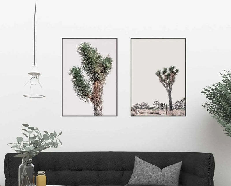 Lifestyle shot of two framed art prints displayed above a dark grey sofa in a minimalist living room. The left print is a close-up photograph of a Joshua tree with spiky green leaves and a textured brown trunk against a bright white background. The right print is a wider shot of a Joshua tree in a desert landscape with scattered rocks and dry brush under a pale sky. Both prints have black frames and white borders. A clear glass vase with eucalyptus branches and a small yellow jar are on a table to the left.
