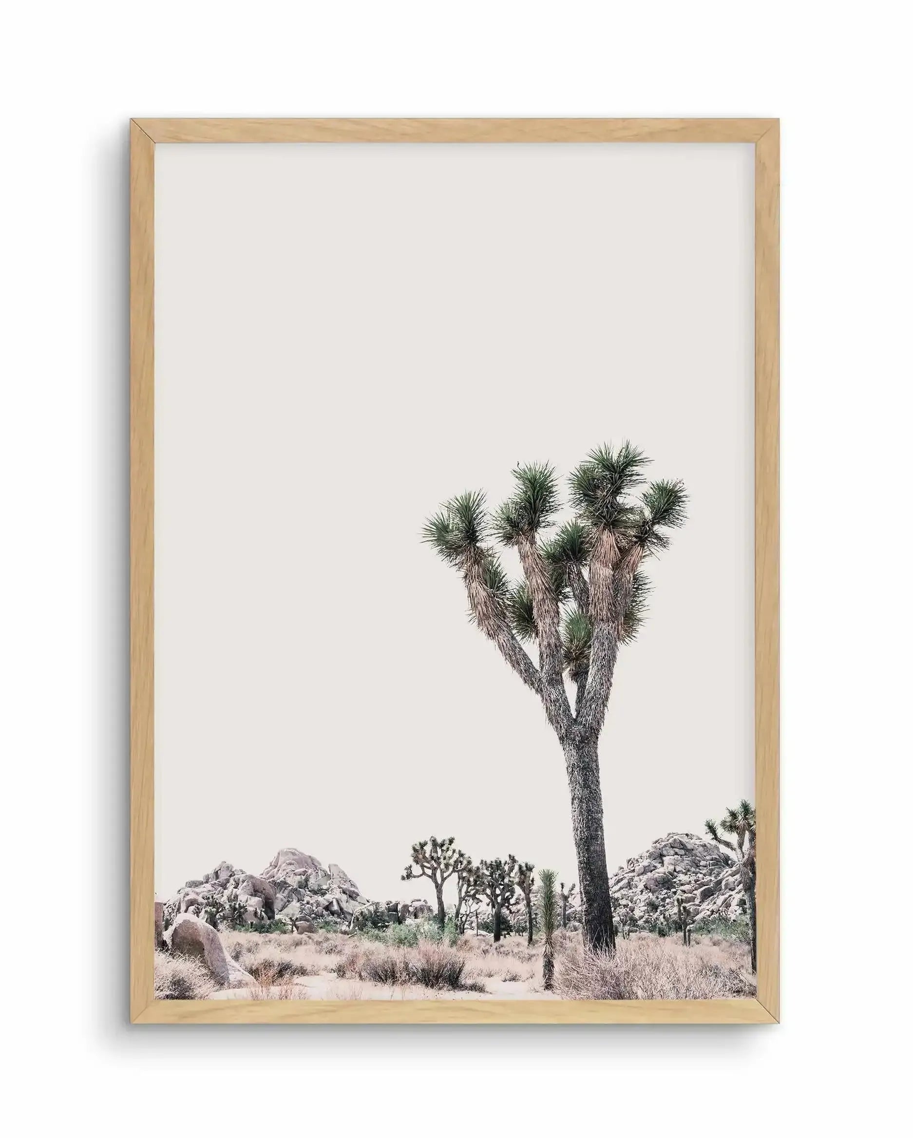 Blushing Joshua Tree II Art Print-PRINT-Olive et Oriel-Olive et Oriel-A4 | 8.3" x 11.7" | 21 x 29.7cm-Oak-With White Border-Buy-Australian-Art-Prints-Online-with-Olive-et-Oriel-Your-Artwork-Specialists-Austrailia-Decorate-With-Coastal-Photo-Wall-Art-Prints-From-Our-Beach-House-Artwork-Collection-Fine-Poster-and-Framed-Artwork