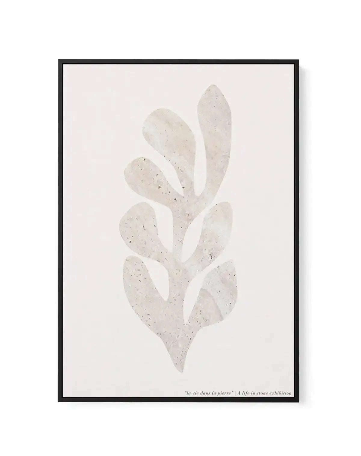 Boheme Galerie IV | Framed Canvas-CANVAS-You can shop wall art online with Olive et Oriel for everything from abstract art to fun kids wall art. Our beautiful modern art prints and canvas art are available from large canvas prints to wall art paintings and our proudly Australian artwork collection offers only the highest quality framed large wall art and canvas art Australia - You can buy fashion photography prints or Hampton print posters and paintings on canvas from Olive et Oriel and have the